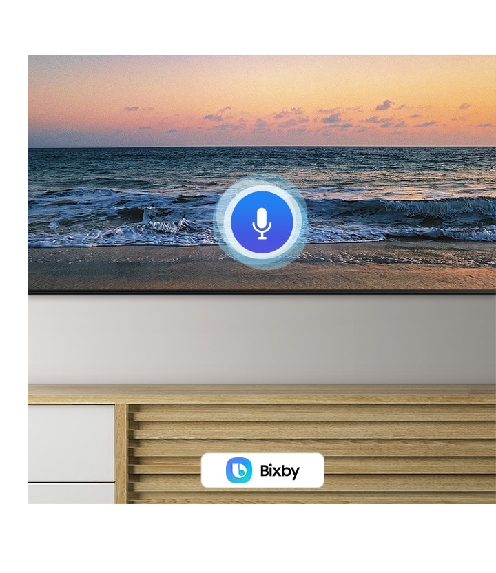 Choose whatever voice assistant you are used to