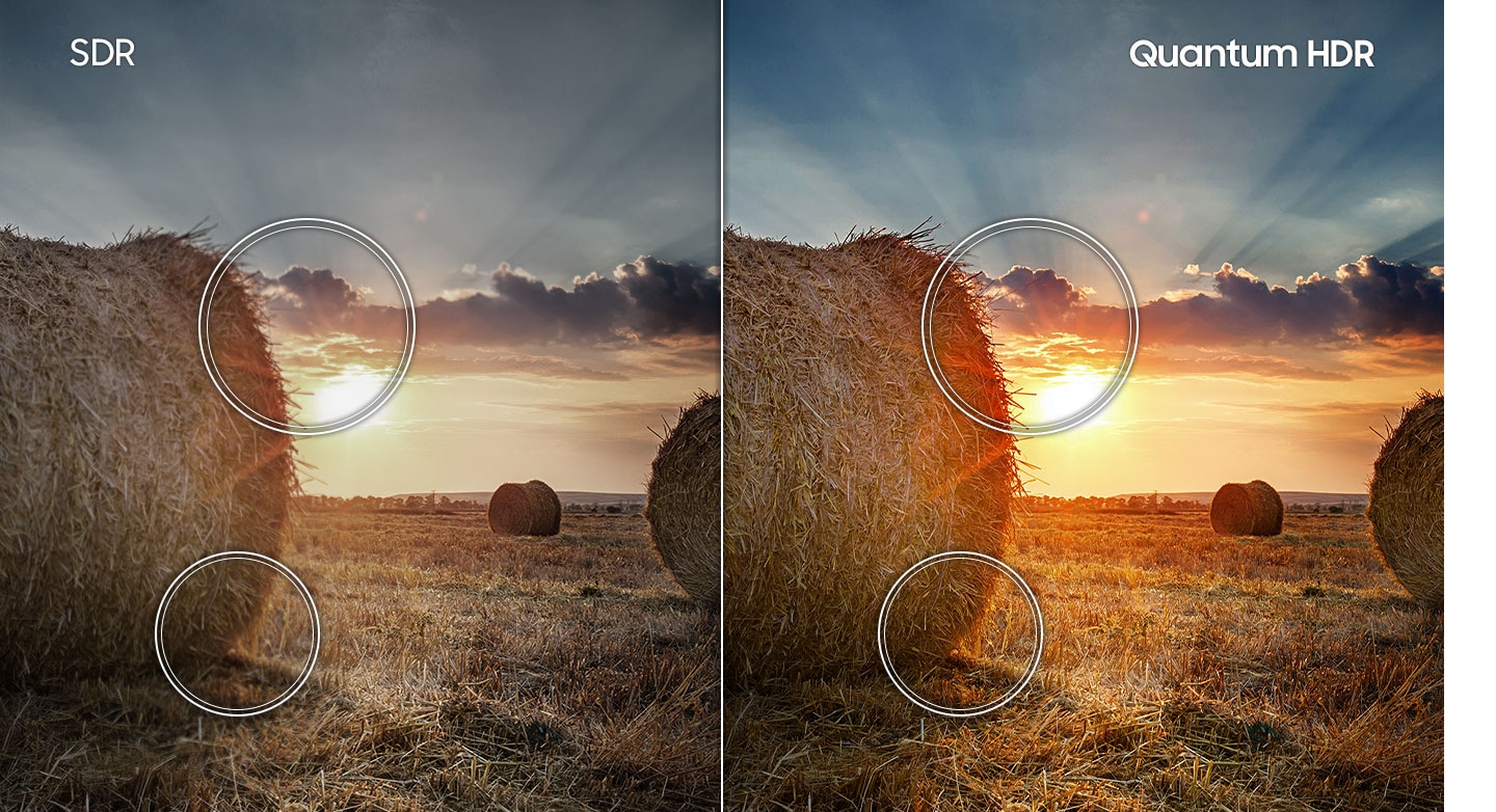 Compared to SDR technology, the sunset prairie image shows a wider range of contrast created by Quantum HDR technology.