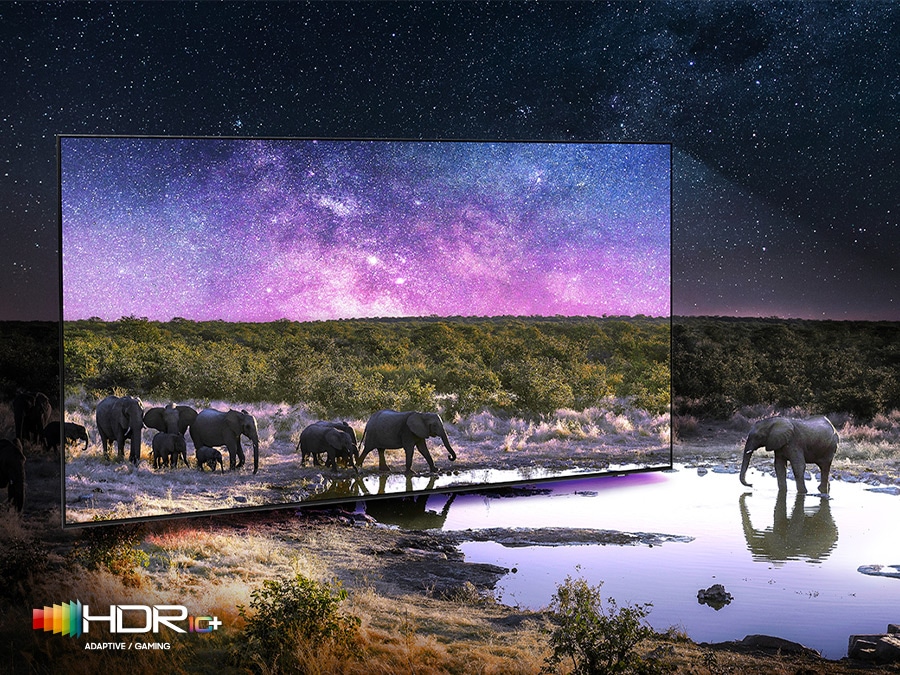 Samsung NEO QLED 4K TV shows accurate representation of bright and dark colours by catching small details. Elephants are walking around in a wide field surrounded by many stars and drinking water on the TV screen.