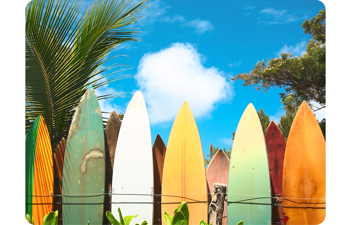 Samsung A23 camera with its 77-degree wide angle icon activated, the shot includes fewer surfboards and a narrower shot that only includes a little of the sky and surroundings.