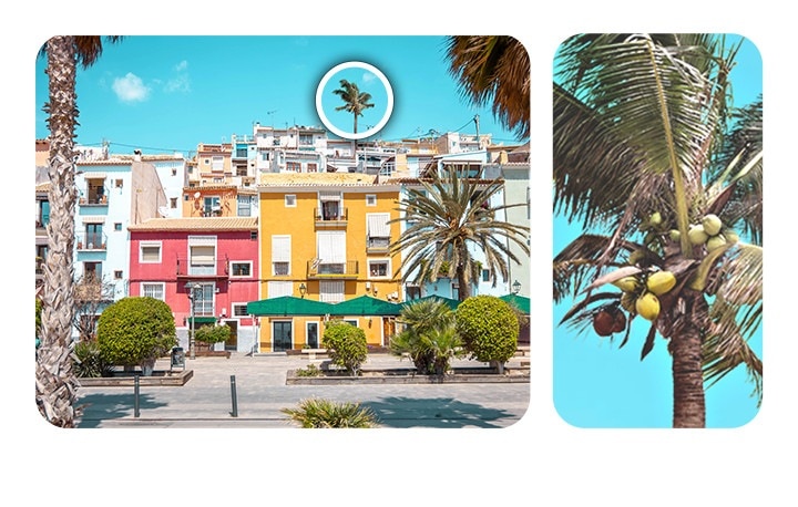 A blurry landscape view of colorful buildings, palm trees and blue sky quickly shifts into focus as a white frame enlarges and captures the shot. The shot zooms in and shifts focus onto a single palm tree over the buildings, which is cut from the rest of the shot and framed. Text below reads 108MP.
