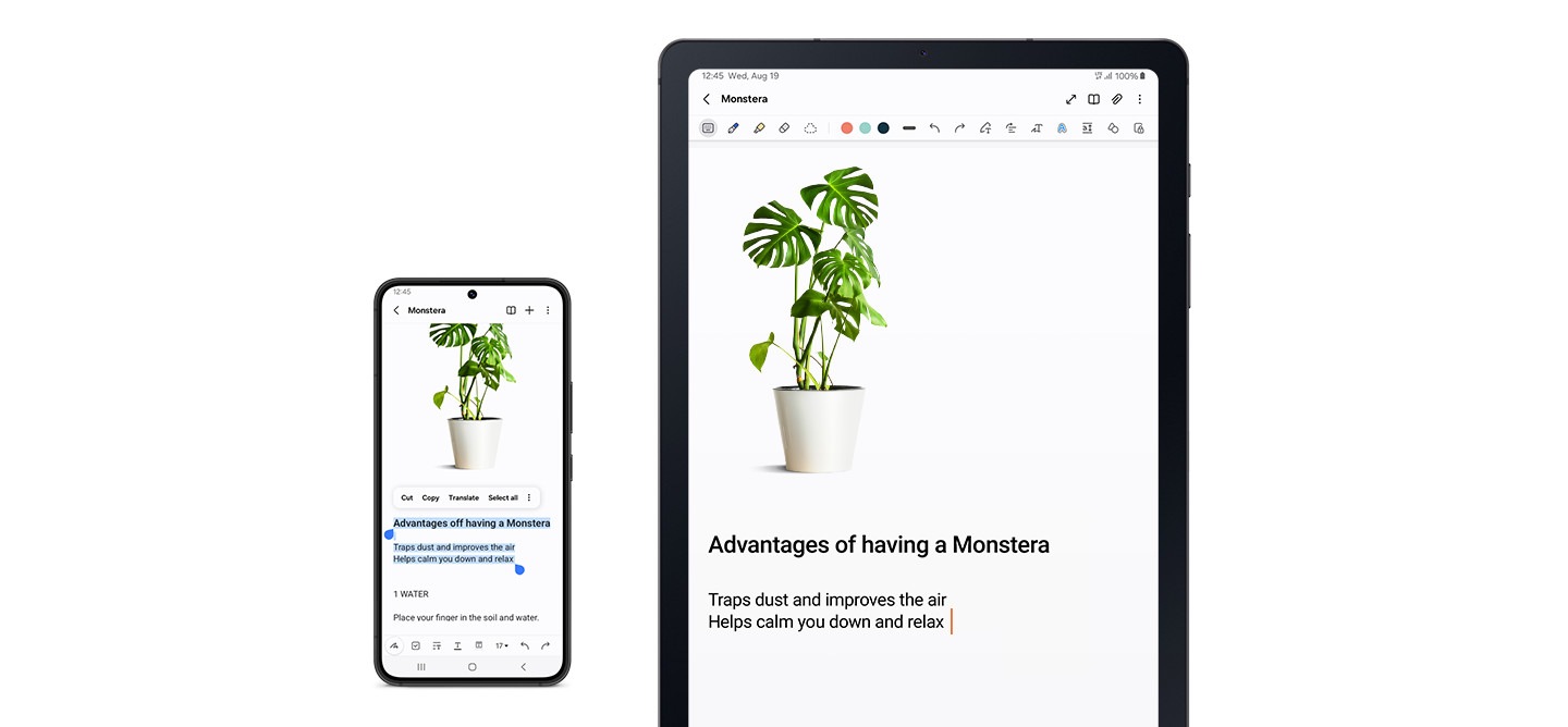 A Galaxy Smartphone and a Galaxy Tab S6 Lite device are shown beside each other. On the smartphone's screen, an image of a plant with highlighted text undernearth is displayed. The same image and text are displayed on a note in the Samsung Notes app on the Galaxy Tab S6 Lite device's screen to show that the content has been copied from the smartphone to the tablet while the two devices are synced.