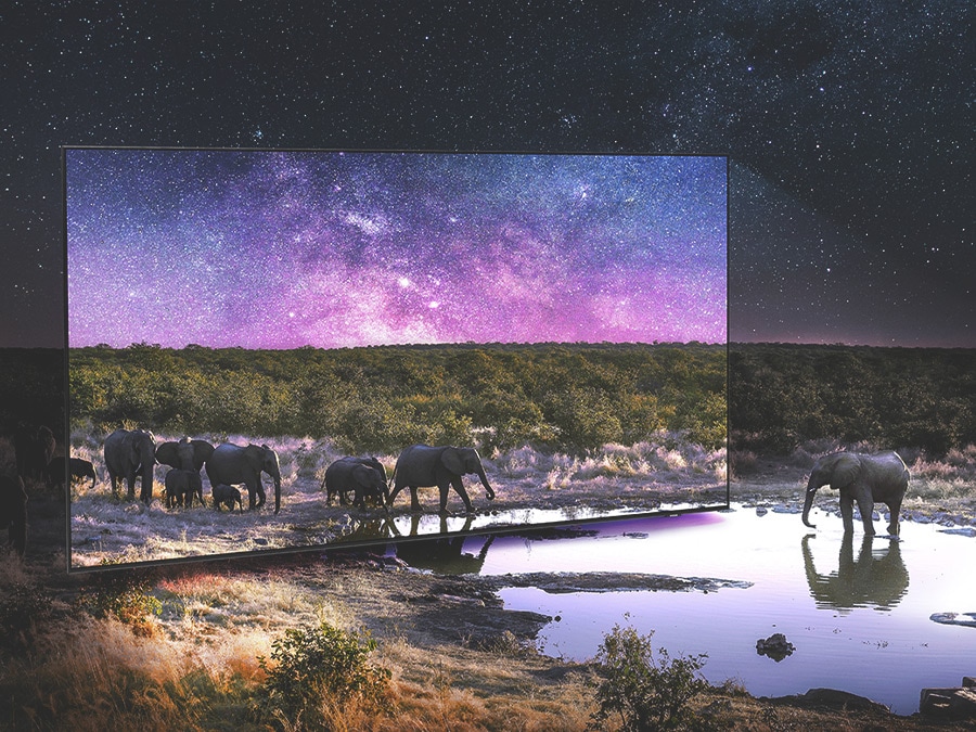 Elephants are walking around in a wide field surrounded by many stars and drinking water on the TV screen. QLED TV shows accurate representation of bright and dark colors by catching small details. The HDR10+ ADAPTIVE/GAMING logo is on display.