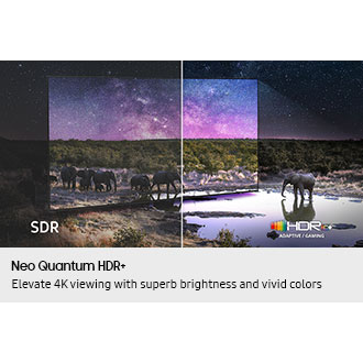 Elephants are walking around in a wide field. The scene after applying HDR 10+ ADAPTIVE/GAMING technology is much brighter and crisper than the SDR version.