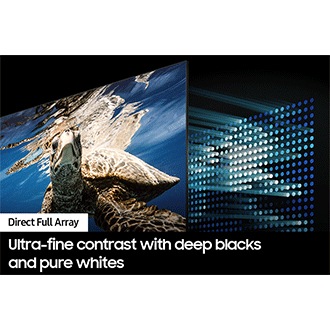 A QLED TV shows a turtle swimming. Behind the QLED screen are LEDs controlling the contrast level of the display.