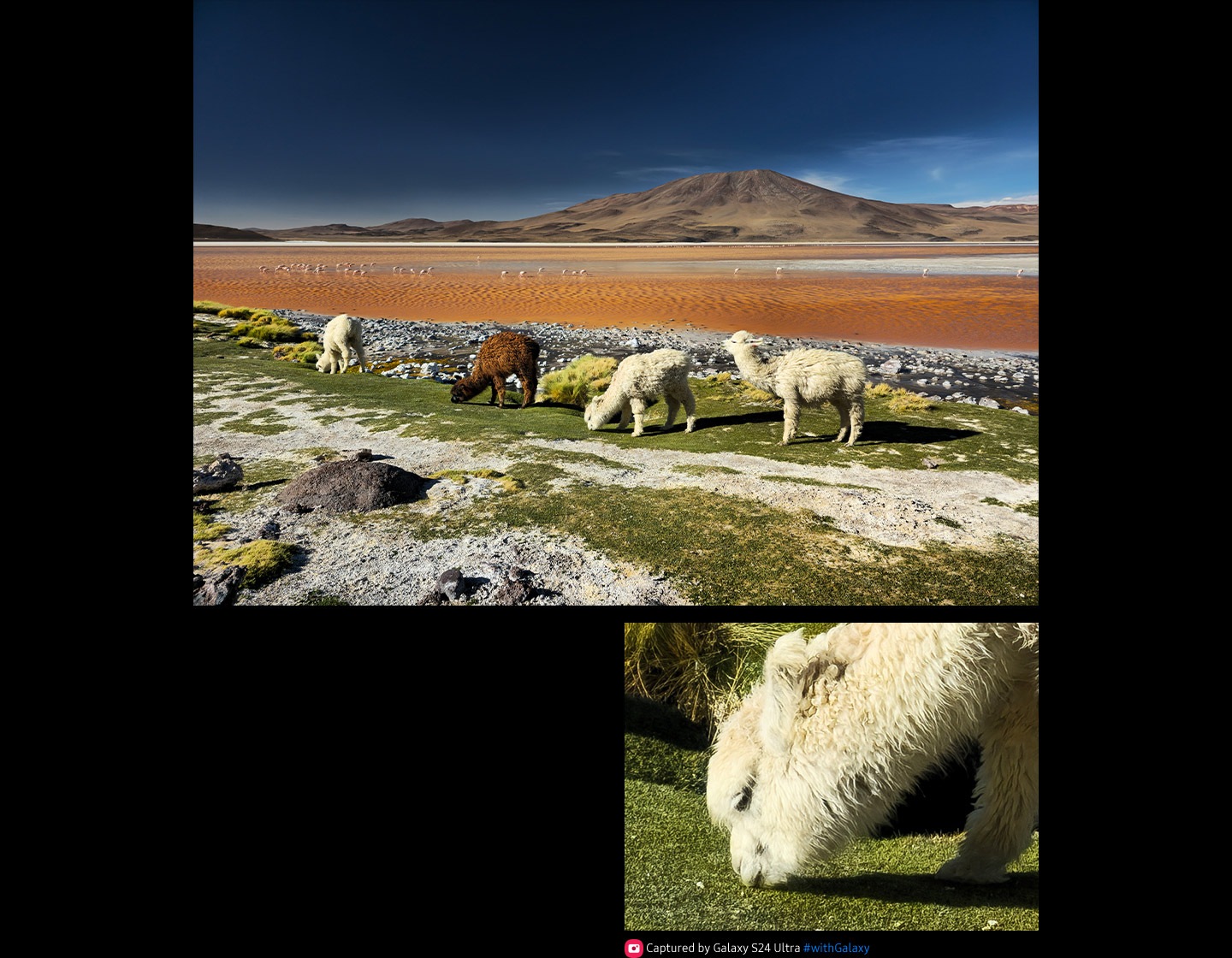 Una fotografía de paisaje de 200 megapíxeles muestra una gran riqueza de detalles y colores. Cuando se recorta más de cerca, los detalles permanecen claros.