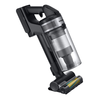 [pét-b~rúsh~ Sílv~ér]