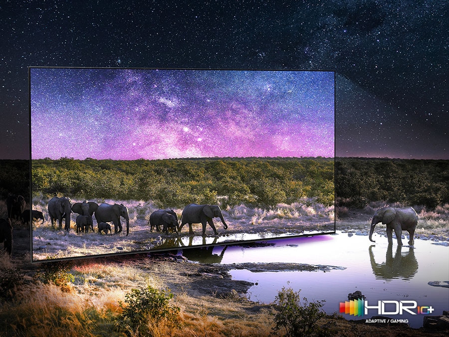 Les éléphants se promènent dans un vaste champ.  La scène après application de la technologie HDR 10+ ADAPTIVE/GAMING est beaucoup plus lumineuse et plus nette que la version SDR.
