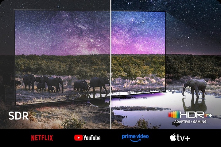 Elephants are walking around in a wide field. The scene after applying HDR 10+ ADAPTIVE/GAMING technology is much brighter and crisper than the SDR version.
