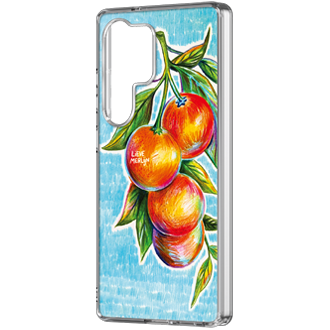 rperspective Transparent