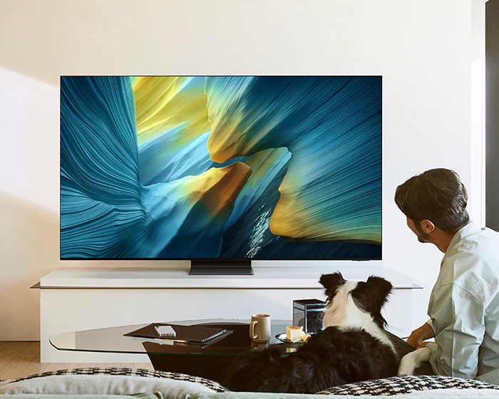 55" OLED S95H 4K Vision AI Smart TV (2026) Graphite