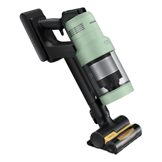 accessory-with-body Mint