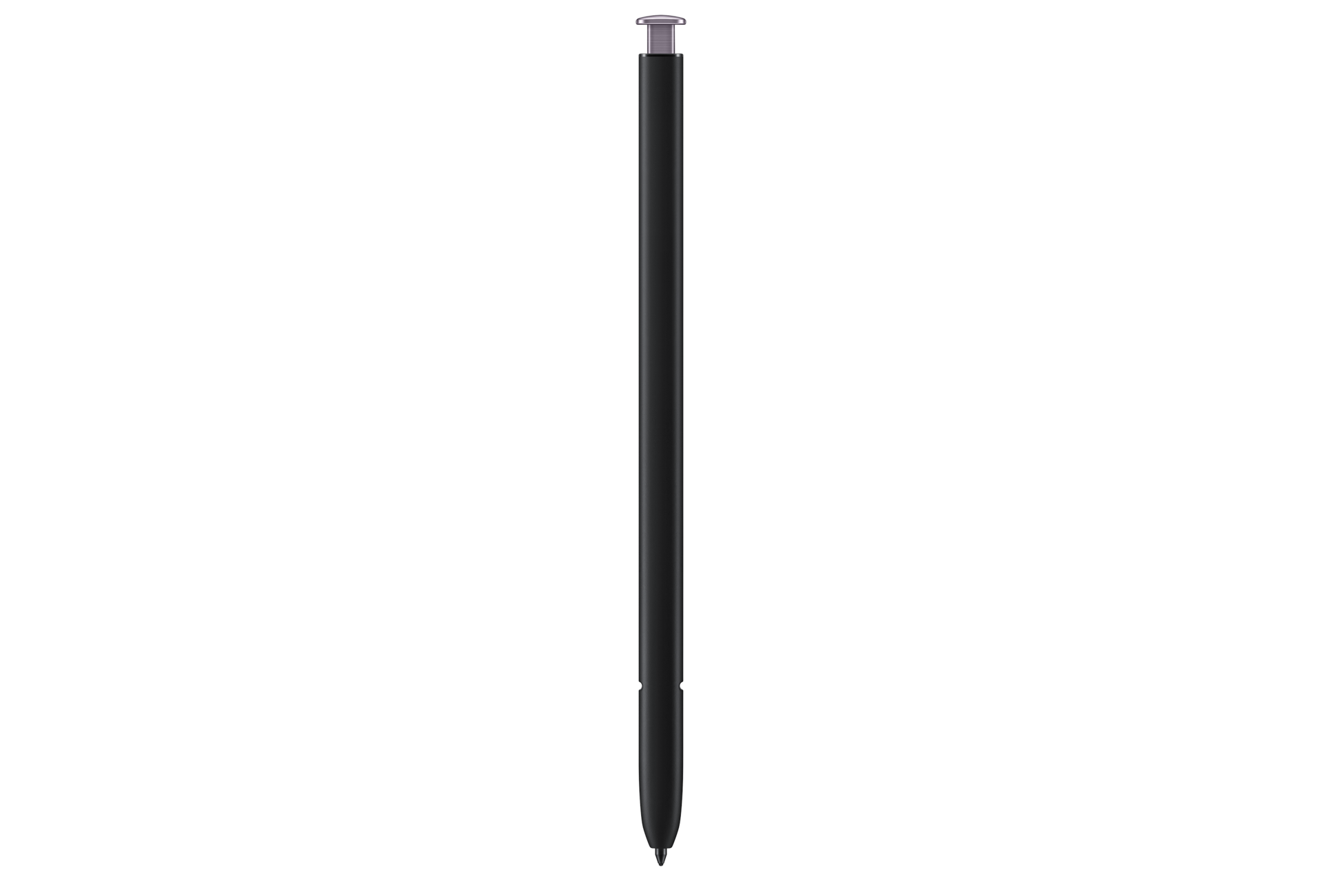 back Lavender