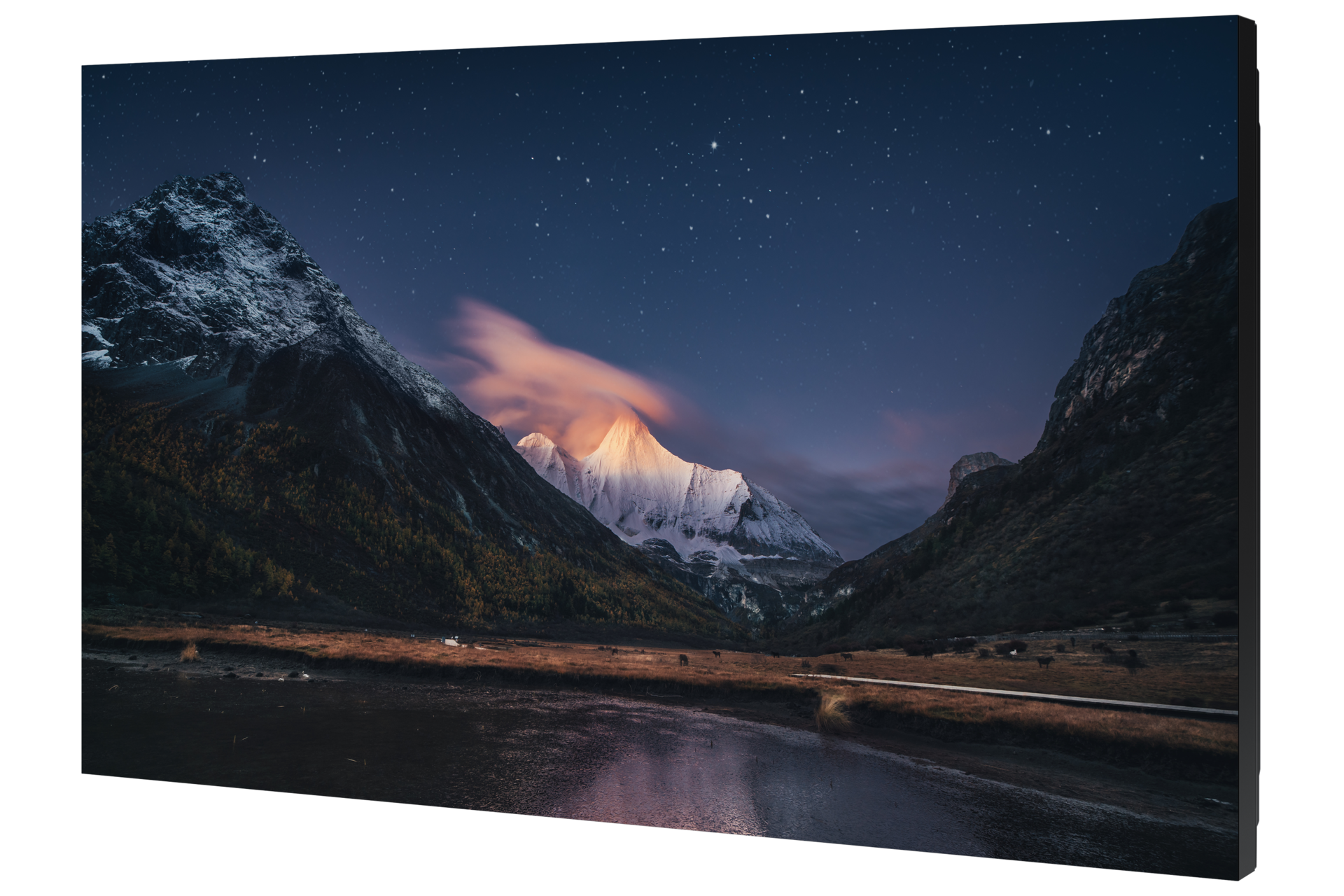 [r-pér~spéc~tívé~ Blác~k]