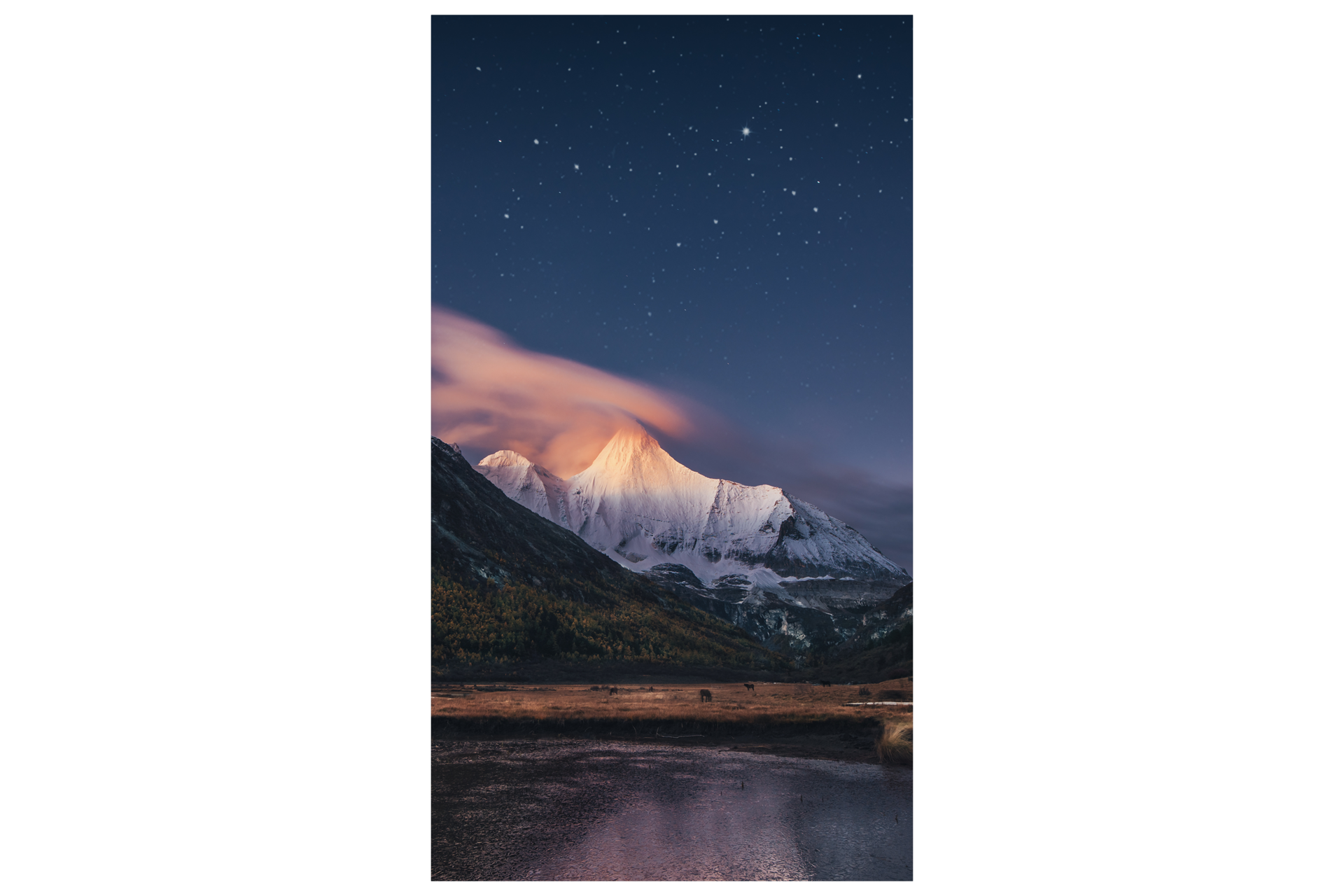 [vért~ícál~ Blác~k]