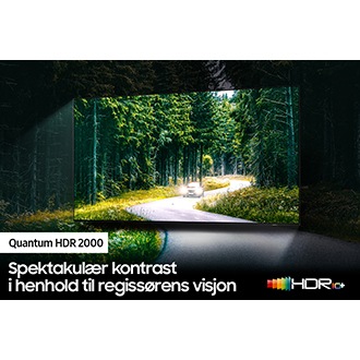 QLED TV QN90A med Quantum HDR 2000 kan oppdage flotte detaljer i bildet