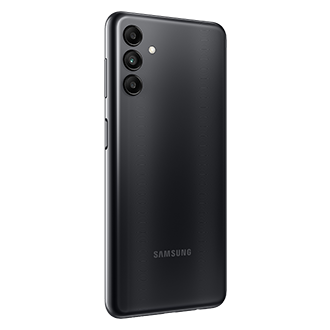 back-l30 Black Beauty