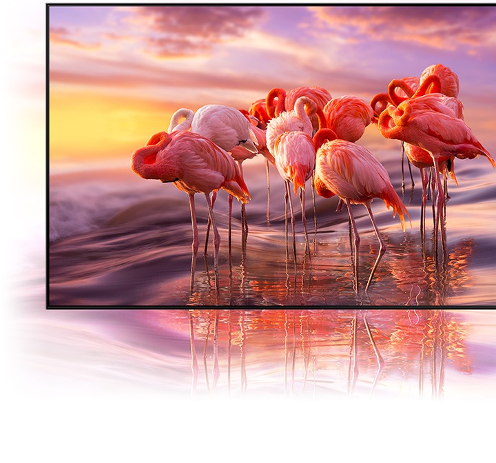 QLED TV displays an intricately colored image of flamingos to demonstrate color shading brilliance of Quantum Dot technology.