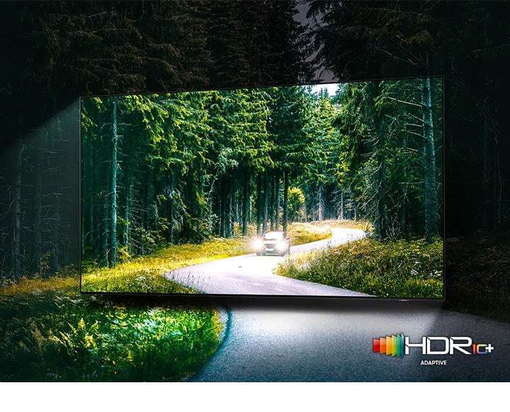 A car is running with lights on through the dense green forest on the TV screen. QLED TV shows accurate representation of bright and dark colors by catching small details.