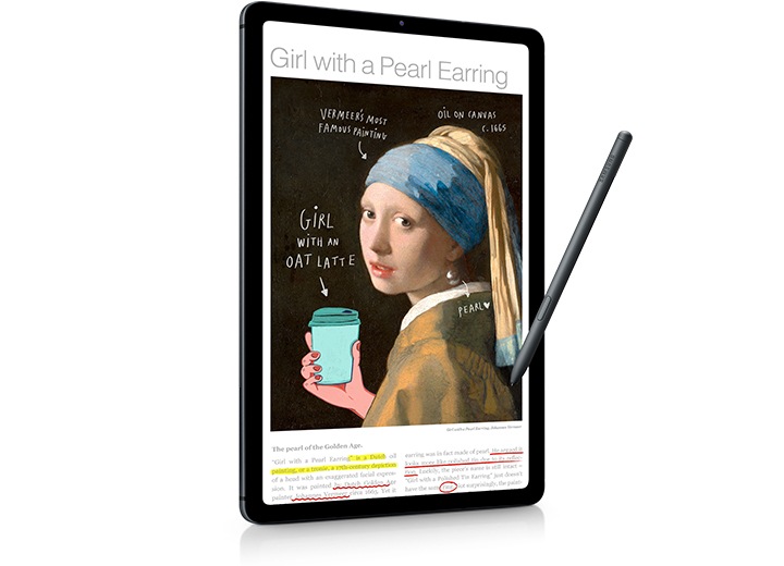 Galaxy Tab S6 Lite (LTE) Grey 64 GB | Samsung NZ