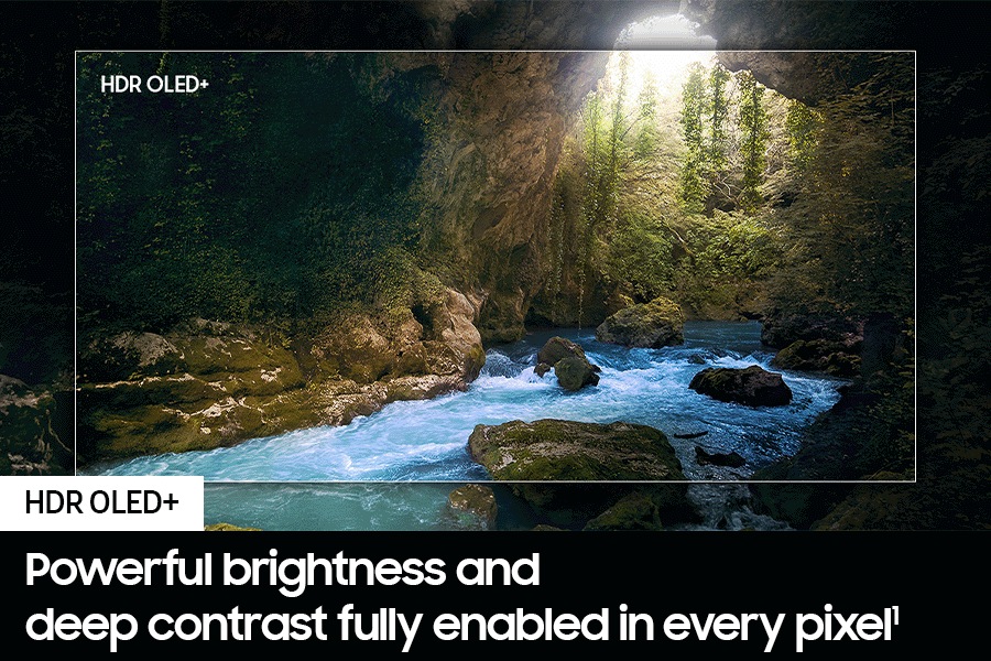 A scene in nature is highlighted at the center in the outline of a TV screen, showing how "OLED HDR+" reveals bright highlights and hidden details in the scene.