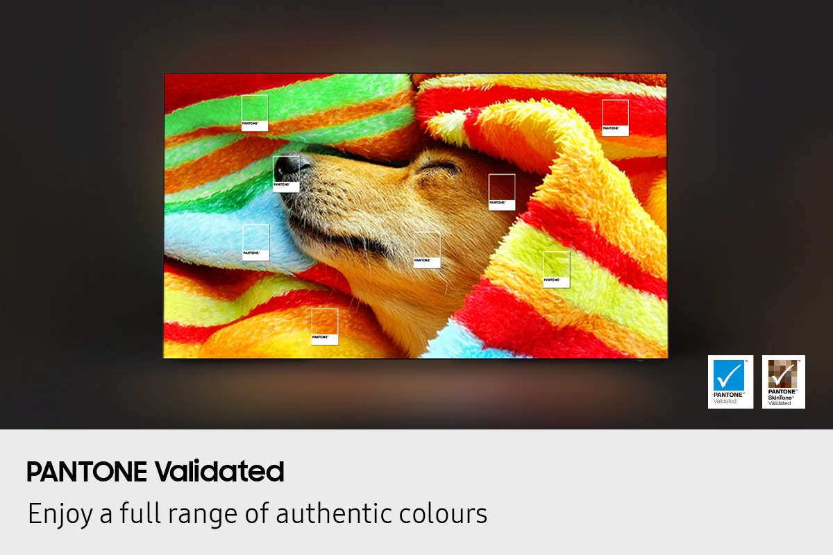 A dog wrapped around a colorful blanket is on display.