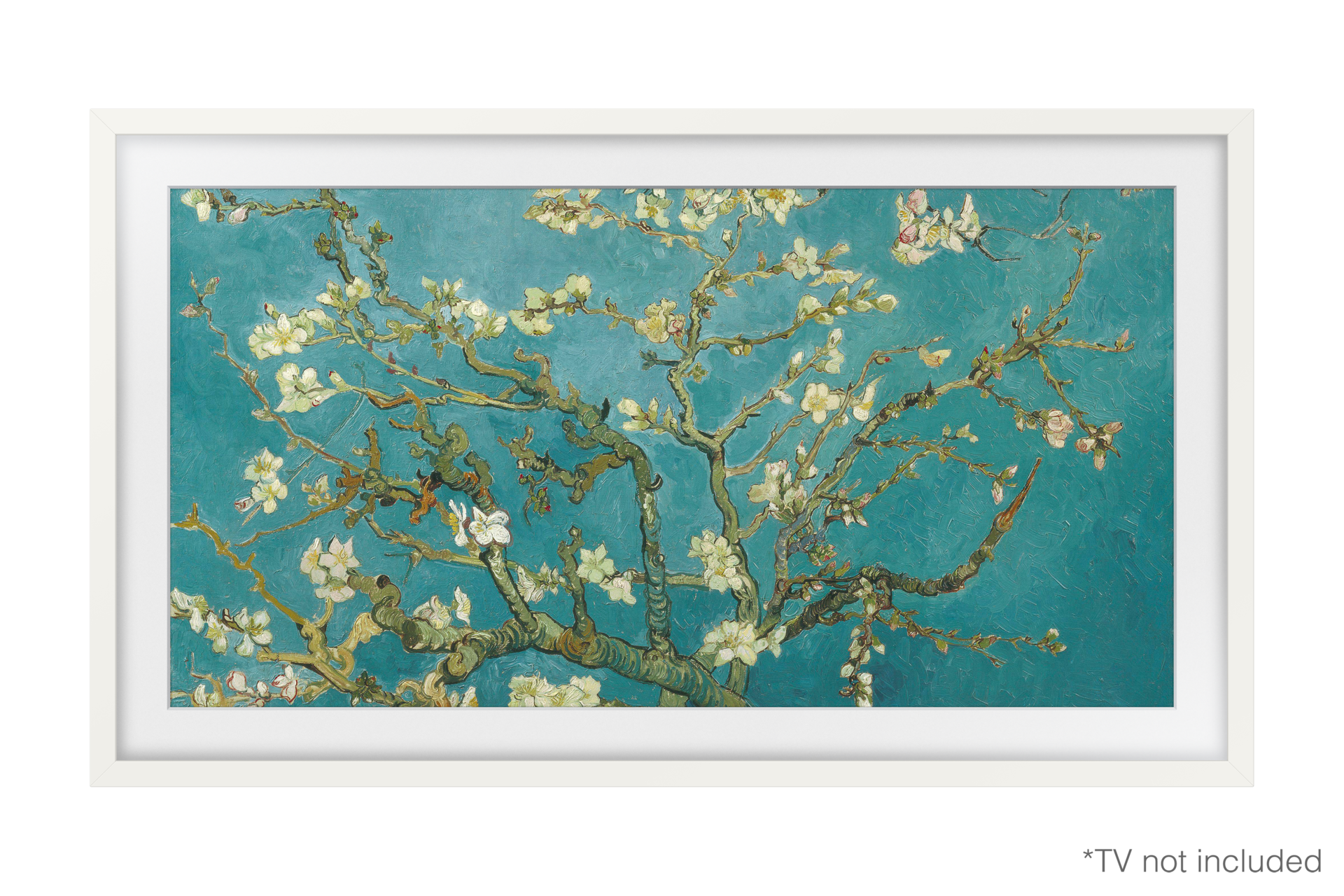 [fróñ~t2 Whí~té]