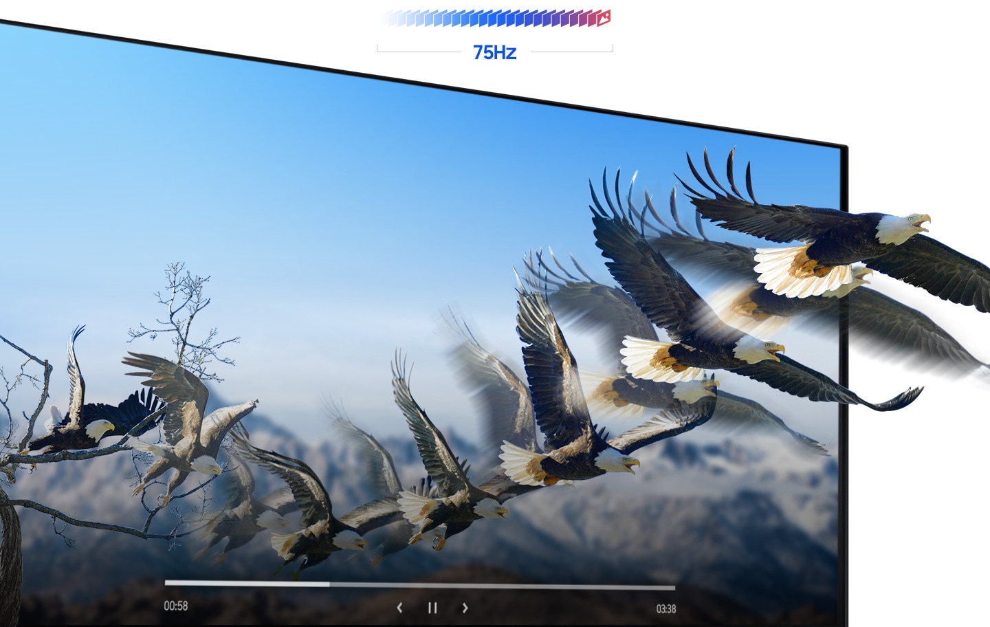 Monitor 27 SAMSUNG ViewFinity S6 S27B610EQN WQHD IPS DP/HDMI Black