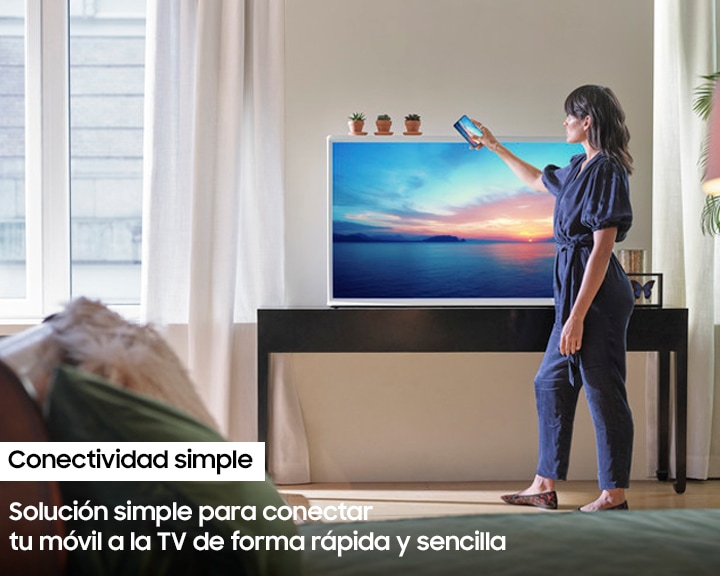 QN55LS01TAGXPE 