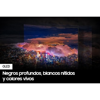 QN55S90CAGXPE 