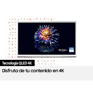 QN65LS01DAGXPE 
