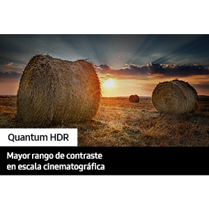 QLED TV Q60C with Quantum HDR can discover fine details in picture