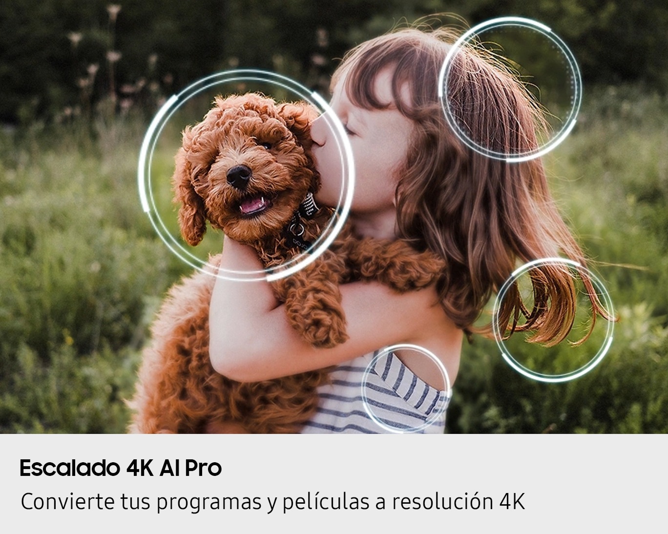 [QÑ83S85F~ÁÉXP~É] 