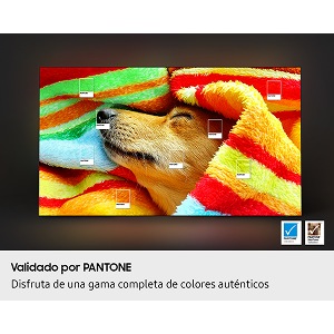 [QÑ83S85F~ÁÉXP~É] 