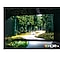 A car is running with lights on through the dense green forest on the TV screen. QLED TV shows accurate representation of bright and dark colors by catching small details.