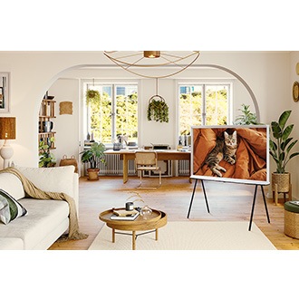 The Frame in a dining room.