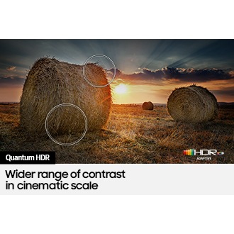 QLED TV Q60B with Quantum HDR can discover fine details in picture