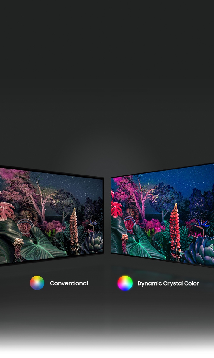 The forest image on the right demonstrates a more intricately colored image due to Dynamic Crystal Color technology compare to the conventional on the left.