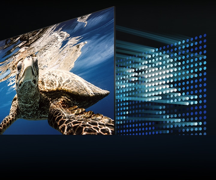 Backlight is shining on the QLED screen to display a turtle in incredible contrast swimming in the water via Direct Full Array.