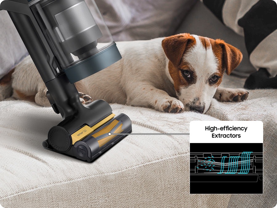 A Bespoke Jet Plus with the Pet Tool+ cleans the sofa next to a dog. The brush's rubber nozzle and bristles are high-efficiency extractors, picking up all the pet hairs.