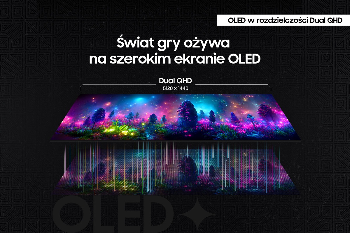 [LS49DG~950SÚXD~Ú] 