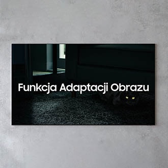 Oglądasz ulubiony film, a promienie słońca w Twoim salonie padają na ekran telewizora? A może organizujesz wieczór filmowy i po zmroku włączyłeś delikatne punktowe światła? Teraz nic nie przeoczysz! Telewizory Samsung QLED Q80T automatycznie dostosują jasność scen do natężenia światła w pomieszczeniu. Zaawansowana Funkcja Adaptacji Obrazu w telewizorach Samsung QLED automatycznie dobierze jasność i kontrast tak, abyś mógł zobaczyć wyświetlane sceny w jak najlepszej jakości. Dzięki temu możesz cieszyć się zawsze perfekcyjnym obrazem i dostrzec najmniejsze szczegóły, bez względu na porę dnia.