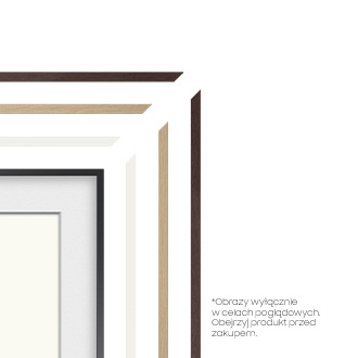 Zbliżenie na rant telewizora The Frame 43" Samsung (VG-SCFA43TKBXC) - widok na różne kolory ramek