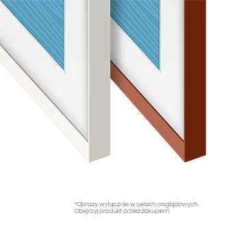 Wymienne ramki The Frame 65 cali do telewizora Samsung (VG-SCFA65TRCXC) - widok na dostępne kolory ramek