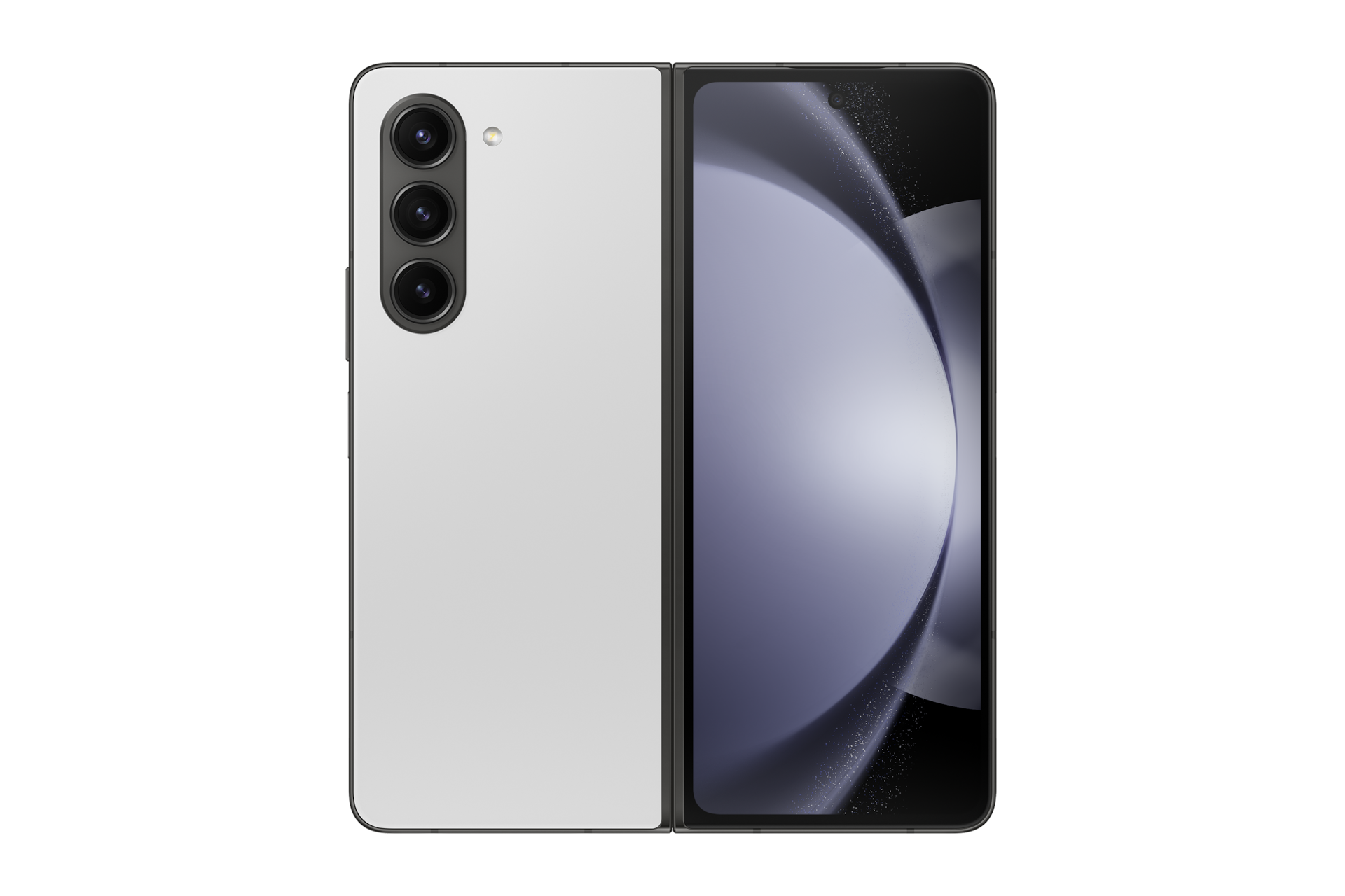 openback Gray