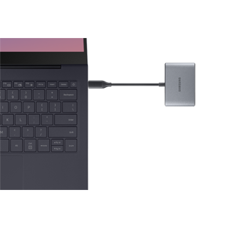 dynamic7 Gray