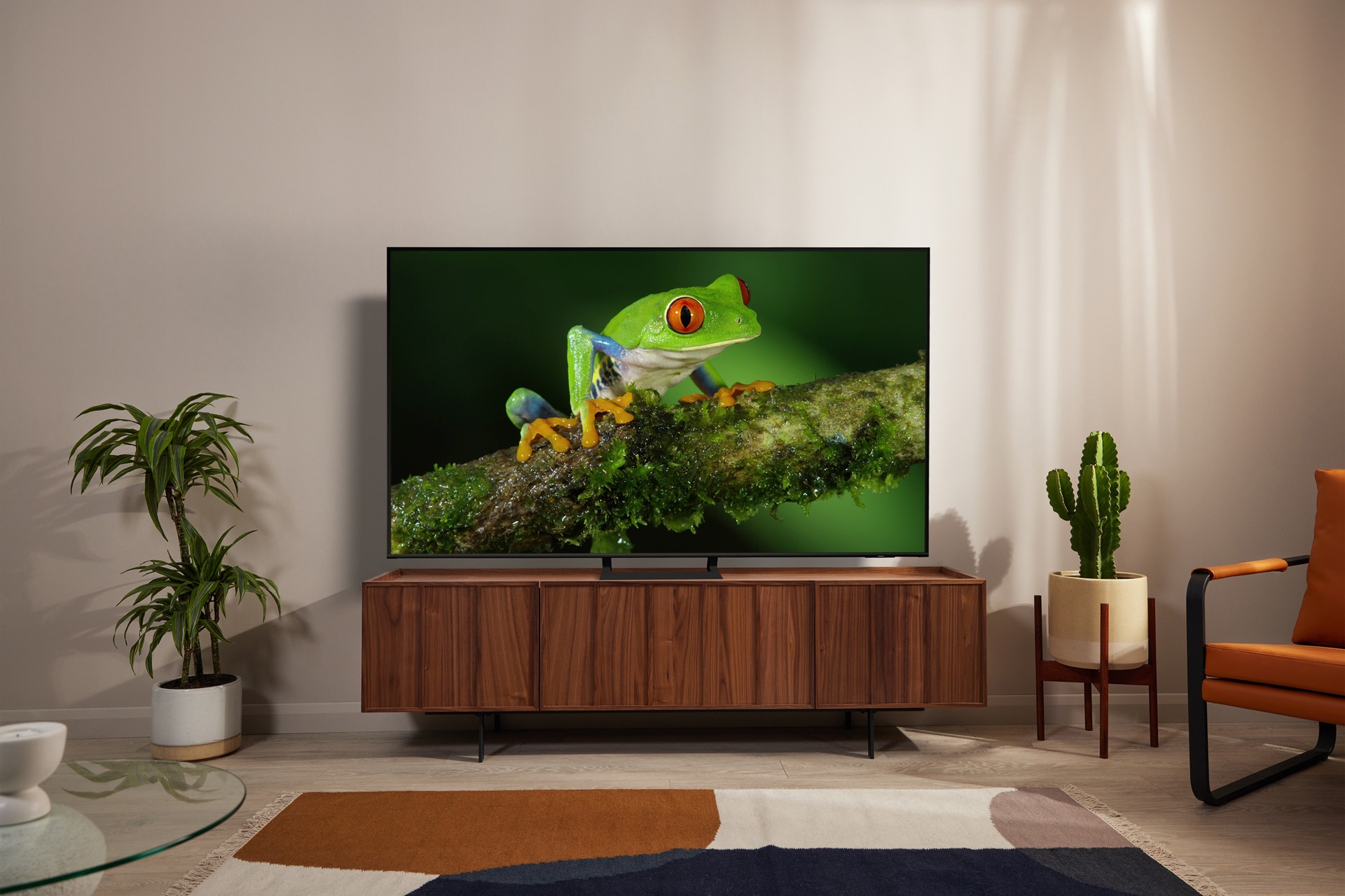 Q70B QLED TV Lifestyle Feature Image 3 Low Res jpeg