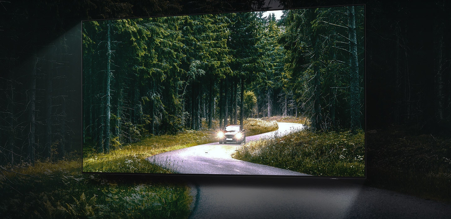 A car is running with lights on through a forest, which has dull colors and suboptimal picture contrast.