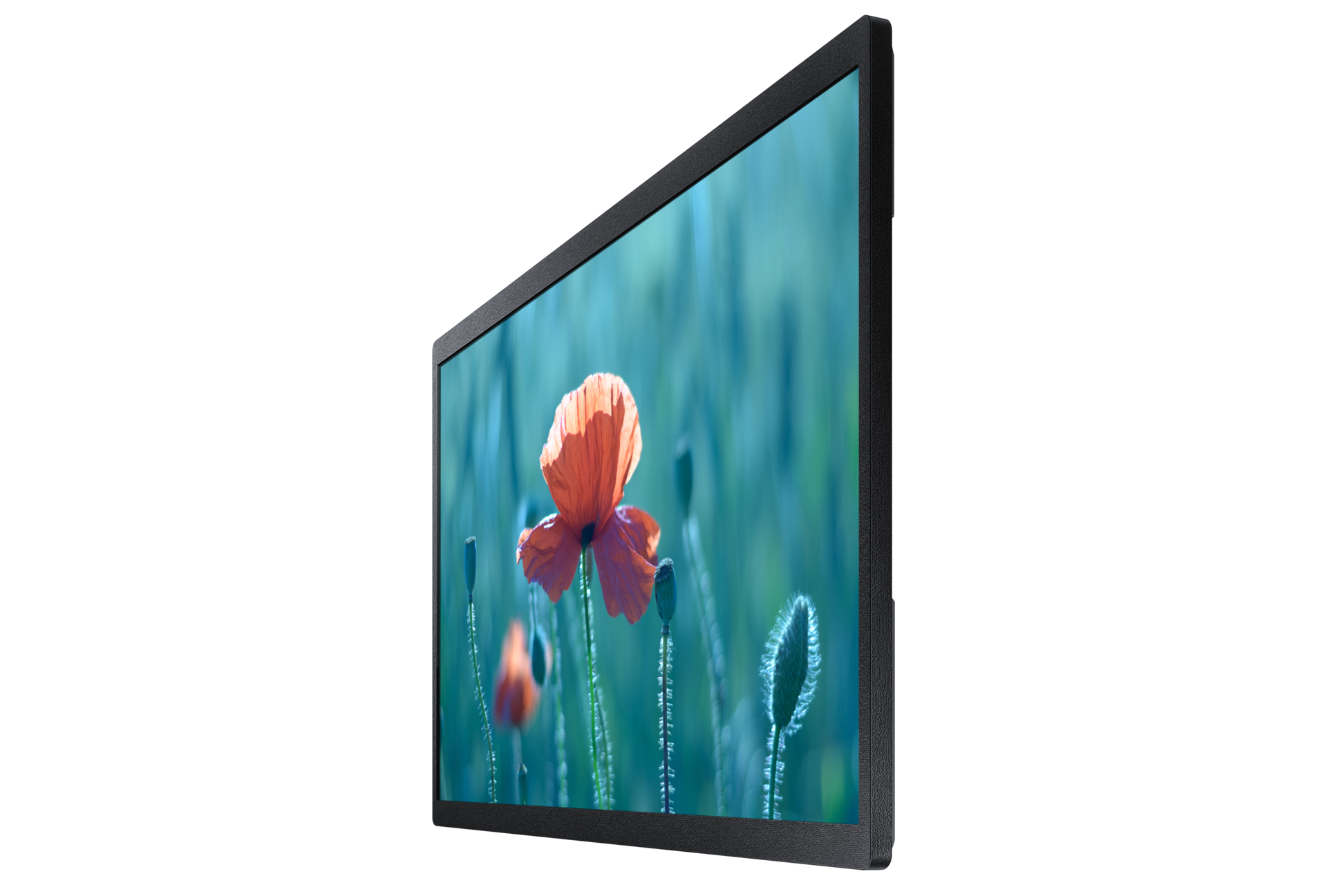 dynamic Black