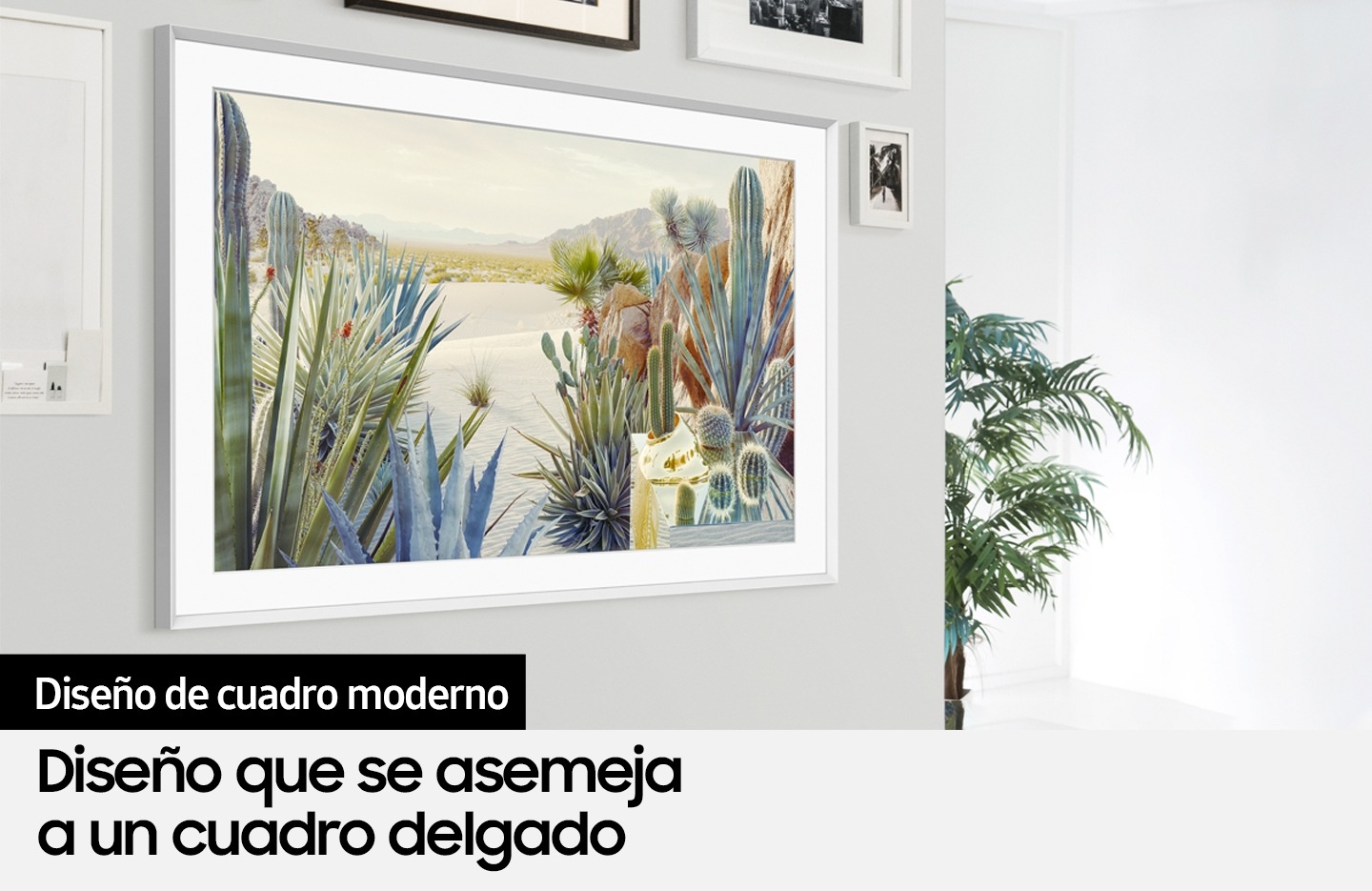 [QÑ55LS~03ÁÁGX~ZS] 